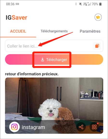 Exporter Instagram en JPG avec IGSaver 
