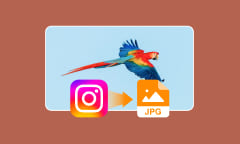 Extraire des images Instagram en JPG