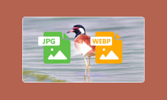 Comment convertir JPG en WebP