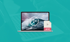 Comment lire le fichier AVI sur Mac/Windows