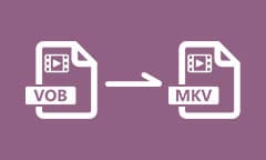 Convertir VOB en MKV en ligne ou hors ligne