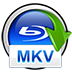 AnyMP4 BD en MKV Backup