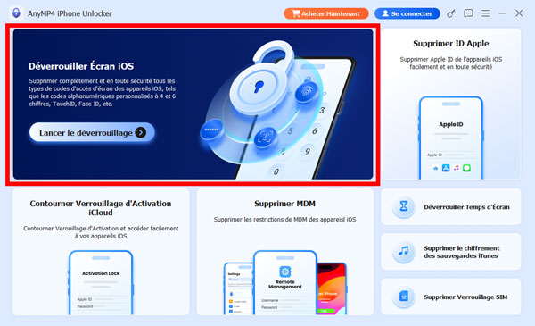 Déverrouiller Écran iOS