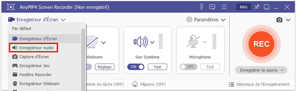 AnyMP4 Screen Recorder Interface