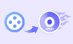 DVD Créateur