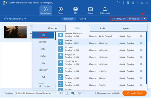 Choisir un format vidéo MP4 comme le format de sortie