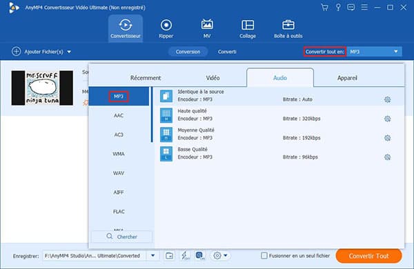 Sélectionner un format audio de sortie