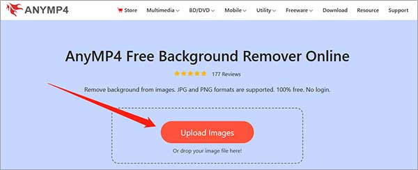 AnyMP4 Free Background Remover Online