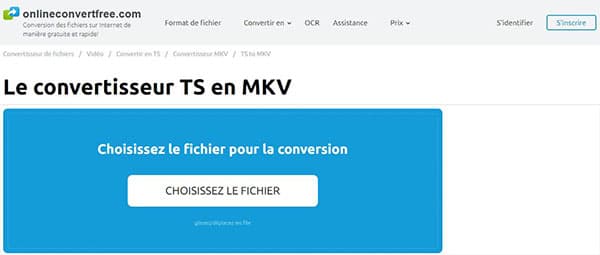 Convertir TS en MKV avec Onlineconvertfree.com