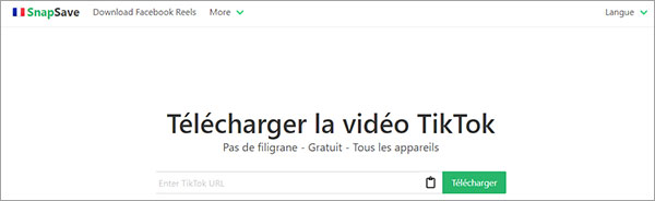 Télécharger un Reel Facebook avec SnapSave