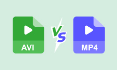 AVI VS MP4