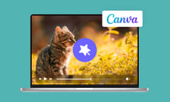 Avis sur Canva Vidéo Éditeur et ses alternatives