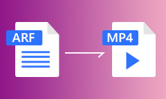 Convertir ARF en MP4