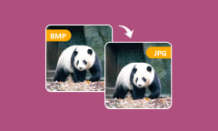 3 solutions pour convertir BMP en JPG