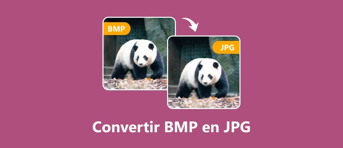 Convertir BMP en JPG