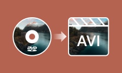 Convertir DVD faites maison en AVI