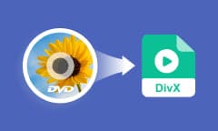 Convertir DVD en DIVX