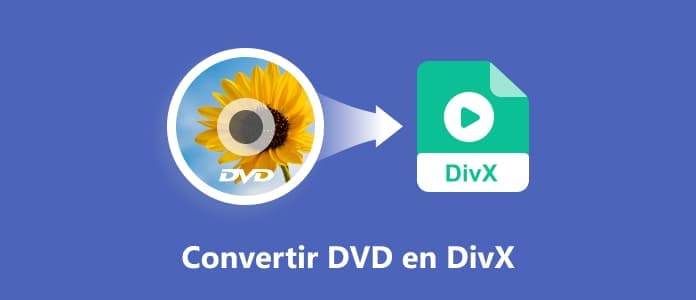 Convertir DVD en DivX