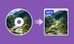 Convertir DVD faites maison en MP4