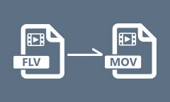 Convertir FLV en MP4