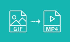 Convertir GIF en MP4