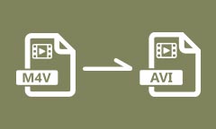 Convertir M4V en AVI