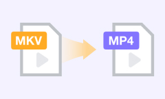 Convertir MKV en MP4