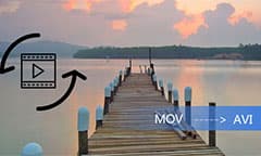 Convertir MOV en AVI ou MP4