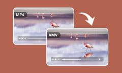 Deux façons efficaces pour convertir MP4 en AMV