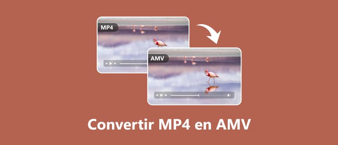 Convertir MP4 en AMV
