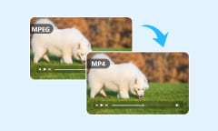 Convertir MPEG en MP4