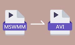 Convertir MSWMM en AVI