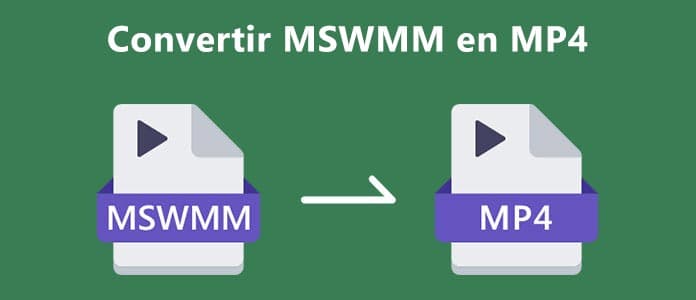Convertir MSWMM en MP4