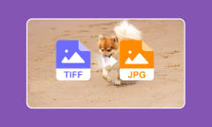 3 outils pour convertir TIFF en JPG