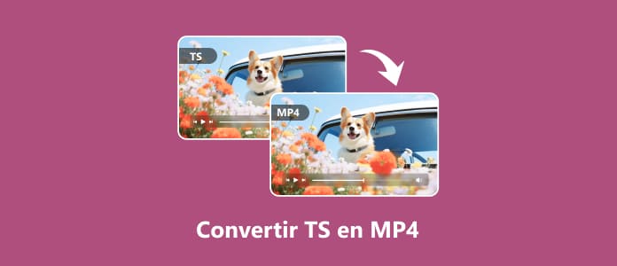 Convertir TS en MKV