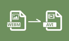 Convertir WEBM en AVI