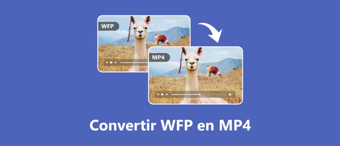 Comment convertir une WFP en MP4 facilement