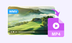 Convertir WMV en MP4
