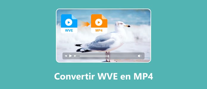 Convertir WVE en MP4