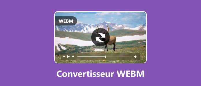 Les convertisseurs WEBM