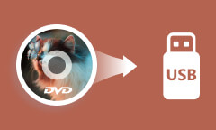 Copier DVD sur une clé USB sans perte