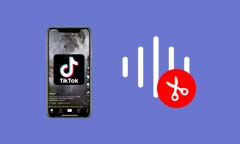 Couper le son d'une vidéo TikTok sur PC et l'appli TikTok