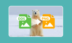 Convertir DDS en PNG