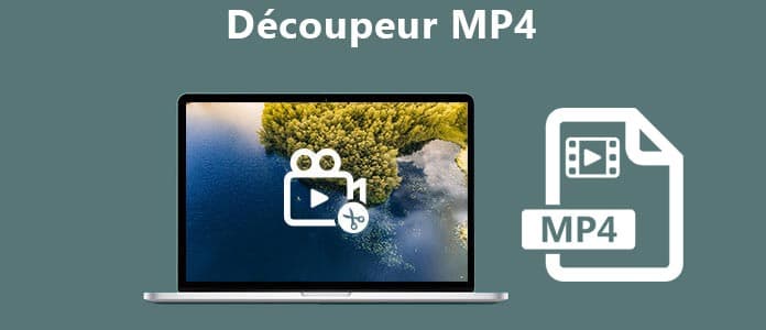 Découpeur MP4