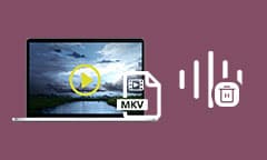 Enlever une piste audio d'une vidéo MKV