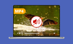 Comment enlever le son d'une vidéo MP4
