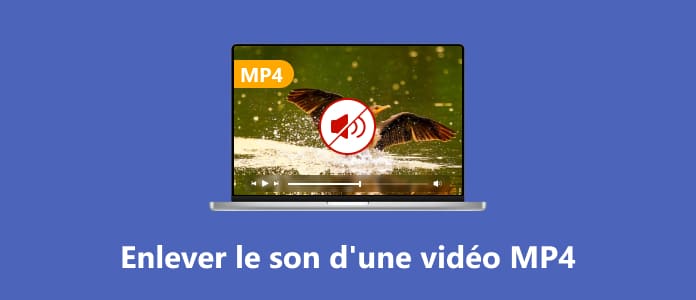 Enlever le son d'une vidéo MP4