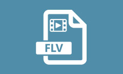 Le fichier FLV