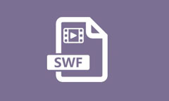 Le fichier SWF