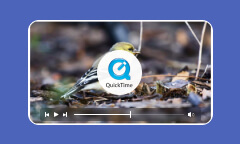 Le format QuickTime